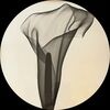 re_new_re_wear